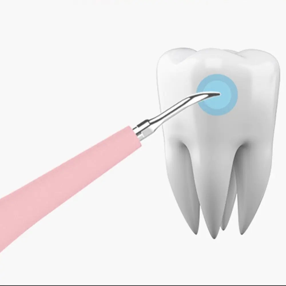 Portable Electric Sonic Dental Scaler Tooth Cleaner